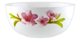 Салатник Luminarc Water Color 4902e (21 см)